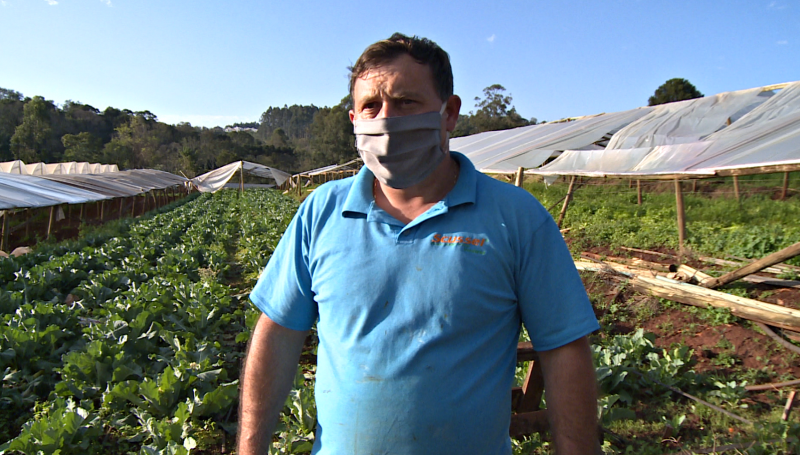 “Das estruturas que o vento derrubou, estamos tentando aproveitar as madeiras para refazer outras estufas que não chegaram a cair, mas foram danificadas”, diz o produtor rural Jucemar Scussel – Foto: NDTV/Reprodução