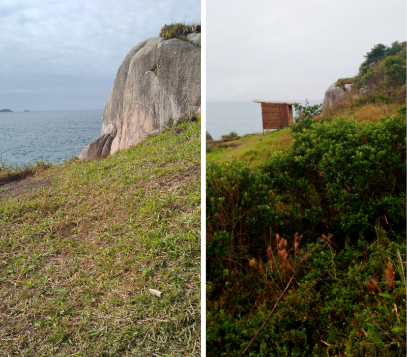 Fiscaliza&ccedil;&atilde;o retirou o rancho(&agrave; direita) de pesca na trilha do Rapa, no Norte da Ilha de SC – Foto: Divulga&ccedil;&atilde;o/ND