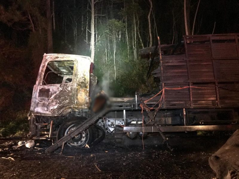 Caminh&atilde;o pegou fogo enquanto trafegava na BR-470 carregado de gado – Foto: PRF/Divulga&ccedil;&atilde;o/ND