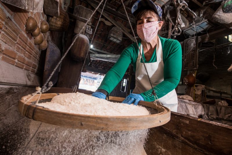 Romilda Günther: “é uma riqueza isso aqui” – Foto: Anderson Coelho/ND