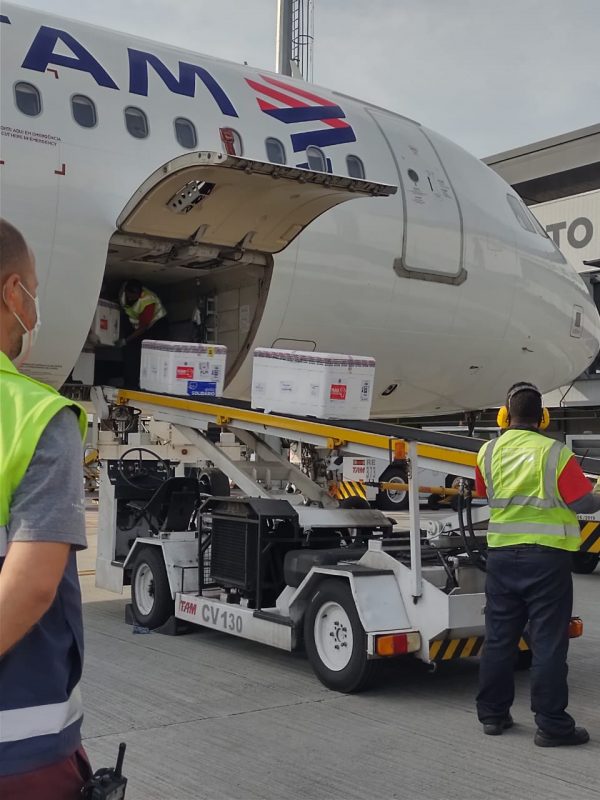 Novo lote da Coronavac chegou a Florian&oacute;polis na manha desta quarta-feira (17) – Foto: Dive/SC/Divulga&ccedil;&atilde;o/ND