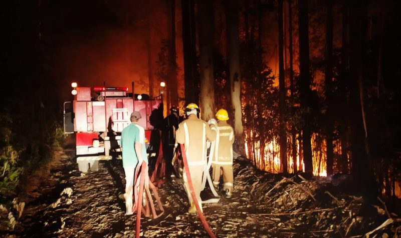 Inc&ecirc;ndio foi controlado no in&iacute;cio da noite de ter&ccedil;a-feira – Foto: Bombeiros Volunt&aacute;rios de Irani/ND