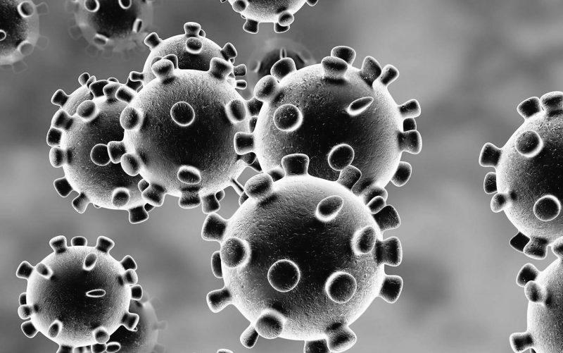novo coronavírus