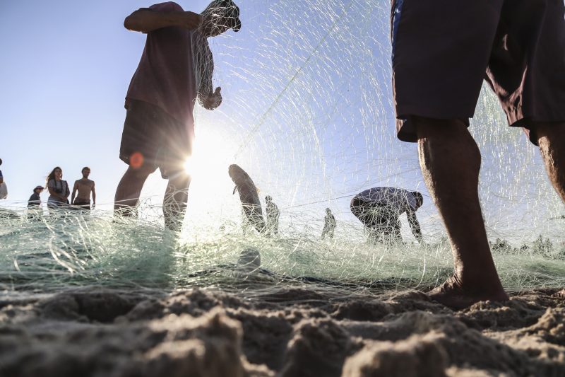 Pesca de Tainha na praia do Novo Campeche, em Florian&oacute;polis – Foto: Anderson Coelho/ND