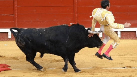 Flash salva fotógrafo de touro que invadiu arena durante rodeio; veja vídeo  - 06/06/2017 - UOL Notícias