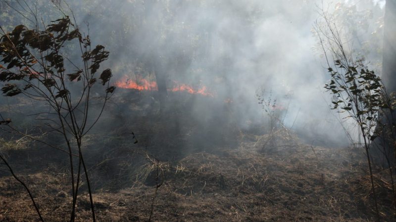 Fogo atingiu morro na regi&atilde;o de Tijuquinhas, em Bigua&ccedil;u – Foto: Reprodu&ccedil;&atilde;o/CBMSC