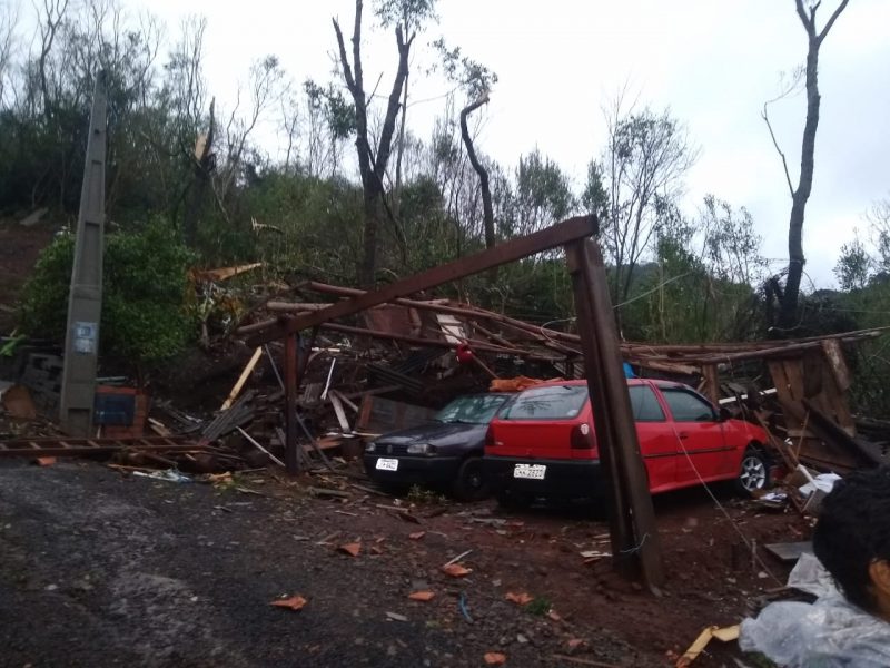 Al&eacute;m de casas, carros tamb&eacute;m foram danificados com a queda de &aacute;rvores – Foto: Cristiane Bello das Chagas/Divulga&ccedil;&atilde;o