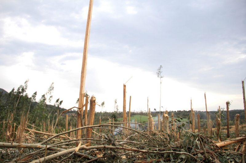 Ainda não se sabe o valor exato dos prejuízos causados pelo tornado – Foto: Prefeitura de Irineópolis/Divulgação