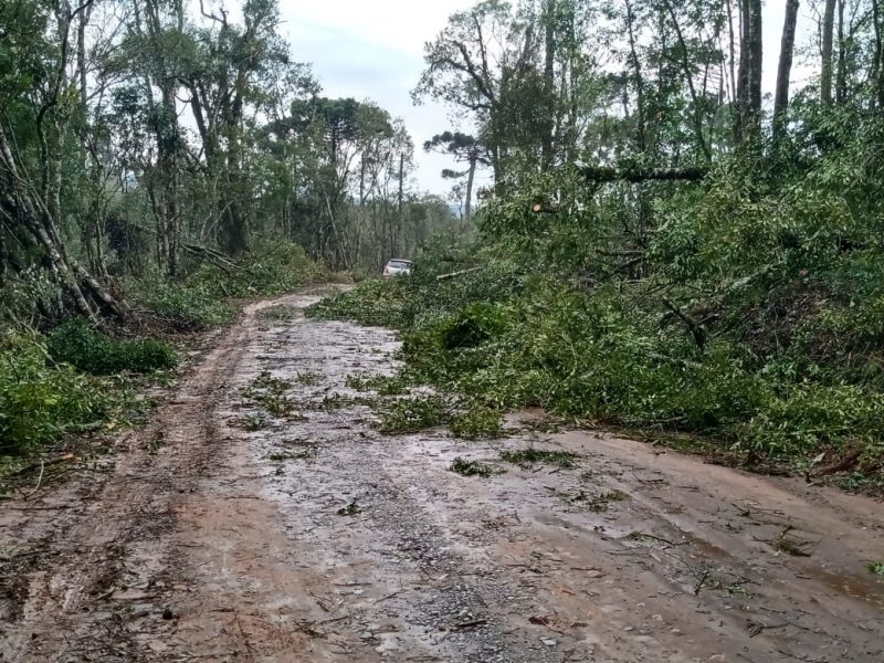 Durante todo o fim de semana, equipes da Prefeitura trabalharam na retirada de árvores, que haviam caído nas ruas, para liberar a passagem nas vias – Foto: Prefeitura de Irineópolis/Divulgação