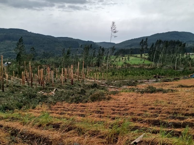 Uma conta também deve ser aberta para receber doações que serão destinadas às famílias afetadas com o tornado – Foto: Prefeitura de Irineópolis/Divulgação