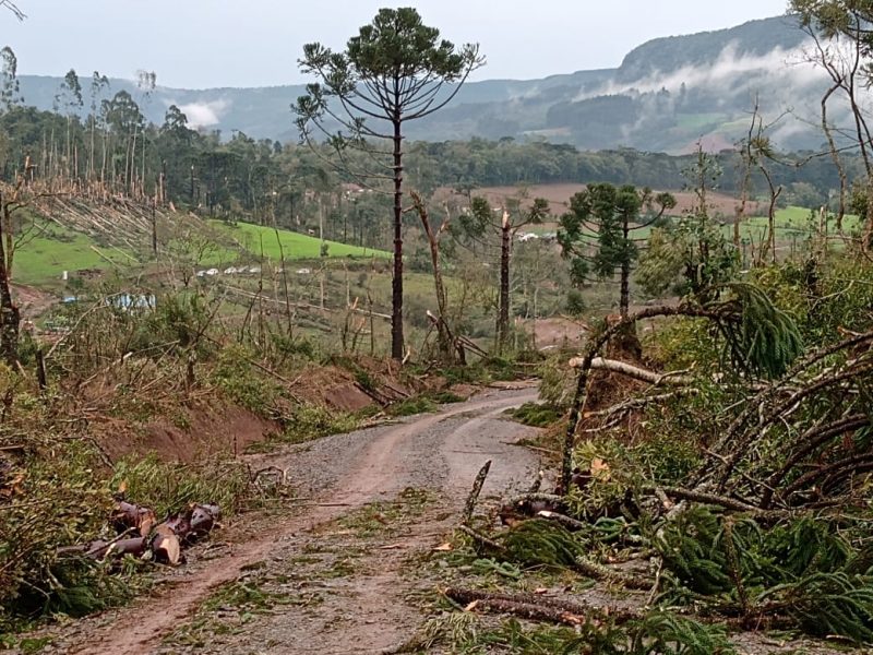 Nesta segunda-feira (17), a Prefeitura ainda faz o levantamento dos estragos – Foto: Prefeitura de Irineópolis/Divulgação
