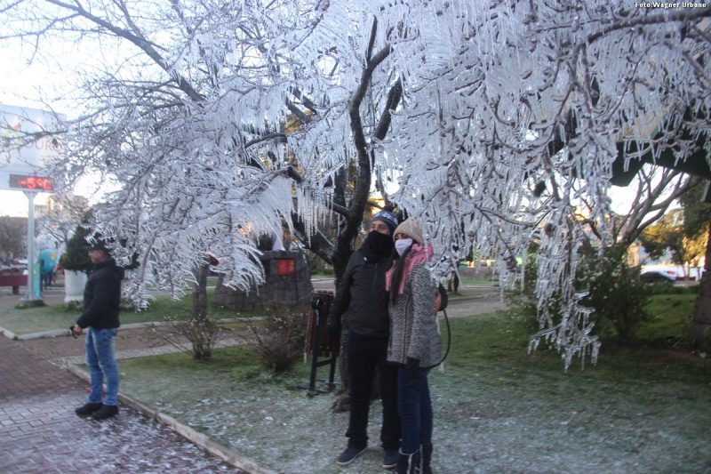 &Aacute;rvore congelada em S&atilde;o Joaquim virou atra&ccedil;&atilde;o para turistas – Foto: Wagner Urbano/Arquivo/ND