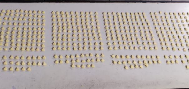 Homem &eacute; preso com 499 comprimidos de ecstasy em Blumenau – Foto: Divulga&ccedil;&atilde;o/10&ordm; BPM