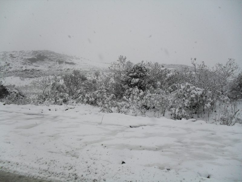 Urupema j&aacute; registrou ac&uacute;mulo de neve&nbsp; – Foto: Prefeitura de Urupema/Arquivo/ND