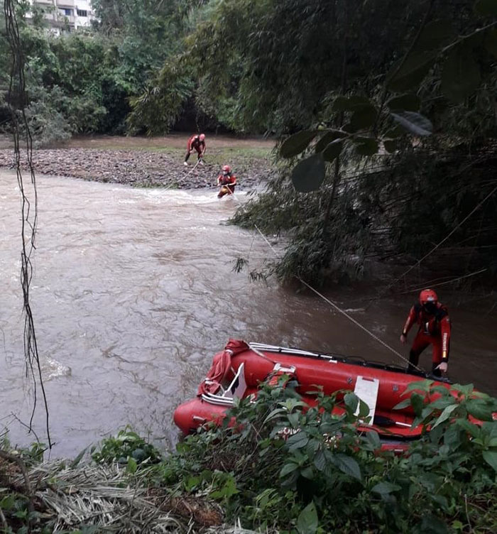 Ainda n&atilde;o se sabe como o cachorro foi parar na ilha – Foto: OCP News/Divulga&ccedil;&atilde;o