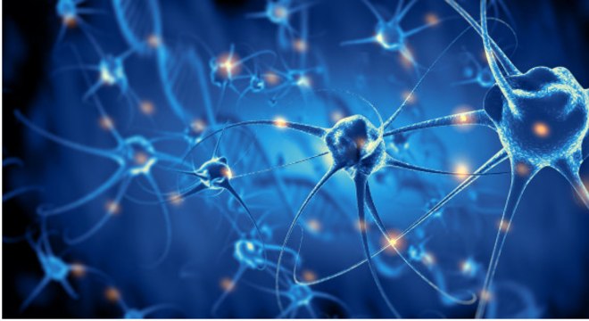 Esclerose m&uacute;ltipla faz sistema imune atacar os nervos – Foto: Freepik