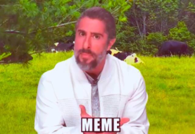 Relembre os 15 melhores memes que viralizaram na Internet em 2020
