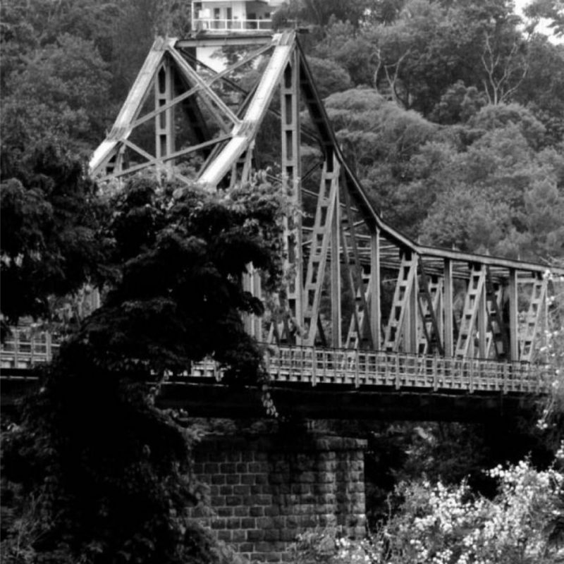 Blumenau mant&eacute;m o n&uacute;mero de 101 mortes por Covid-19 – Foto: Divulga&ccedil;&atilde;o/PMB