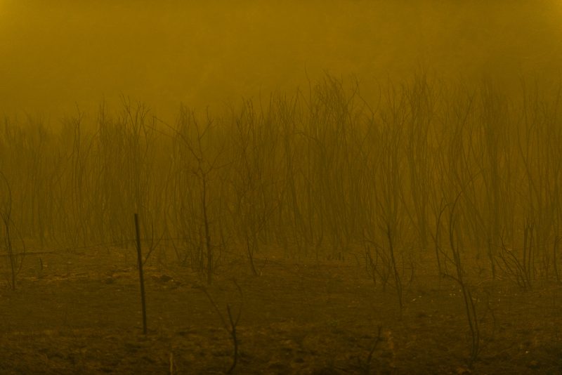 Mais de 500 mil pessoas tiveram que deixar suas casas por conta dos inc&ecirc;ndios&nbsp; – Foto: Reprodu&ccedil;&atilde;o/Fotos P&uacute;blicas/ND