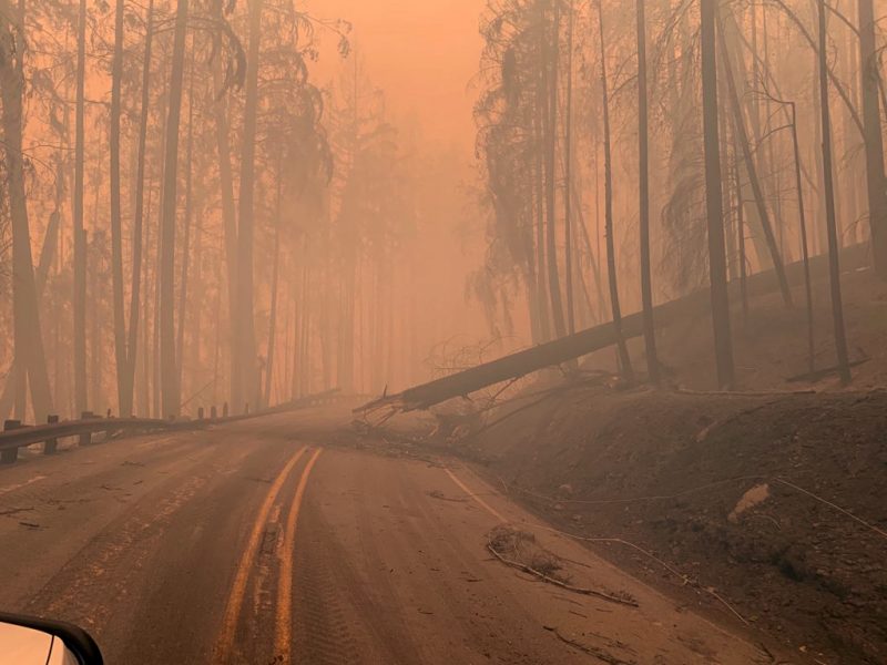 Inc&ecirc;ndios florestais deixam 24 mortos nos Estados Unidos – Foto: Reprodu&ccedil;&atilde;o/Fotos P&uacute;blicas/ND