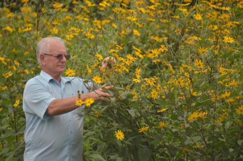 Edemir Martinhago, propriet&aacute;rio do s&iacute;tio, trabalhando com o Tupinambor, uma planta rara – Foto: Artur Bezerra