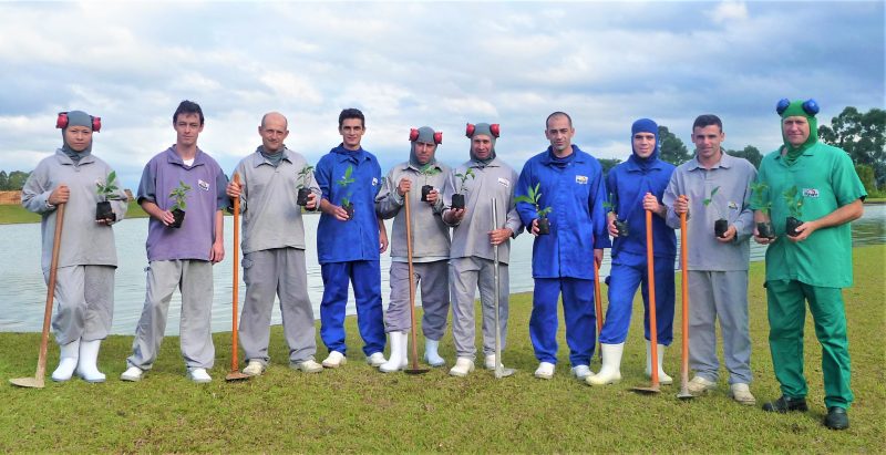 Trabalho de plantio de &aacute;rvores em uma das unidades – Foto: Divulga&ccedil;&atilde;o