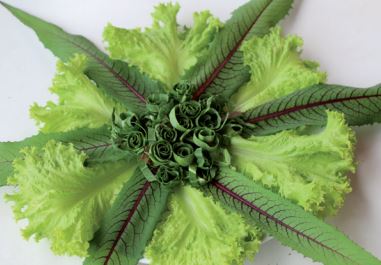 Salada mista de Almeir&atilde;o-Roxo – Foto: Altamiro M, Matos/Reprodu&ccedil;&atilde;o/Epagri