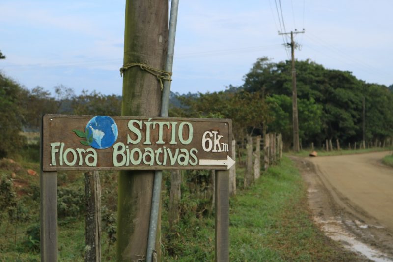 S&iacute;tio Flora Bioativas, no Sert&atilde;o do Valongo, Porto Belo – Foto: Foto Artur Bezerra