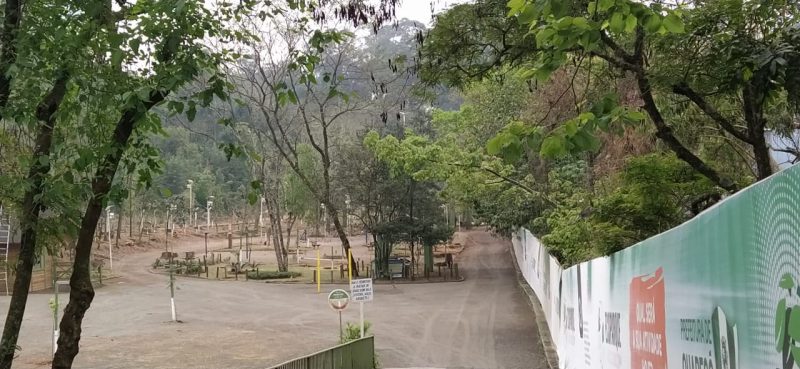Entenda o motivo da derrubada de &aacute;rvores no Ecoparque, em Chapec&oacute; – Foto: Felipe Kreusch/NDTV