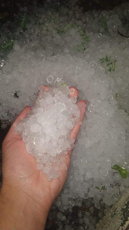Chuva de granizo causa preju&iacute;zos em lavouras de cebola e fumo no Alto Vale do Itaja&iacute; – Foto: Secretaria de Agricultura de Aurora