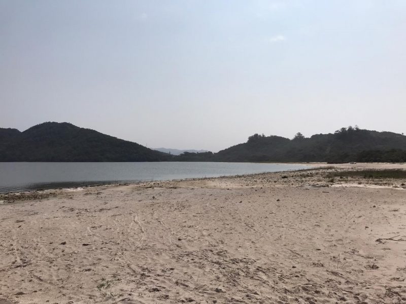 Florianópolis já registrou 79 viroses nesse anos, número considerado na média dos anos anteriores