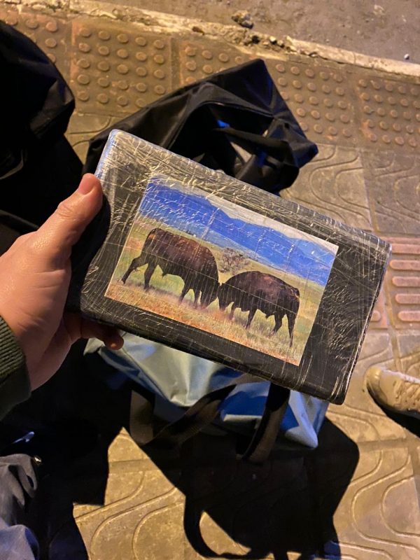 Tabletes de coca&iacute;na que seriam transportados para fora do Brasil – Foto: Pol&iacute;cia Militar