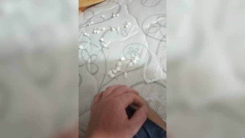 Investiga&ccedil;&otilde;es iniciaram em fevereiro e resultaram em quatro pris&otilde;es pro tr&aacute;fico de drogas – Foto: Pol&iacute;cia Civil/Divulga&ccedil;&atilde;o/ND