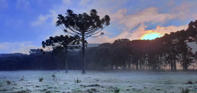 Frio deve se intensificar de sábado para domingo, sobretudo, nas regiões mais altas do Estado – Foto: Mycchel Legnaghi / São Joaquim Online