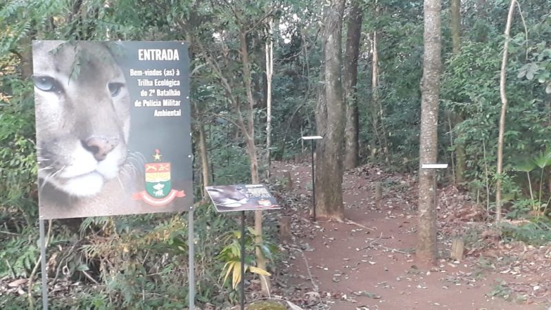 Trilha ecol&oacute;gica da PMA de Chapec&oacute; foi adaptada para atender o p&uacute;blico cego – Foto: Luciano Bergonzi/PMA