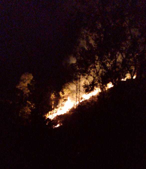 Inc&ecirc;ndio atingiu vegeta&ccedil;&atilde;o nativa, em Blumenau, na noite desta sexta – Foto: Reprodu&ccedil;&atilde;o/CBMSC