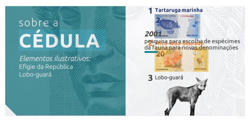 Nova cédula de R$ 200 entra em circulação na quarta-feira – Foto: Banco Central do Brasil/Divulgação/ND