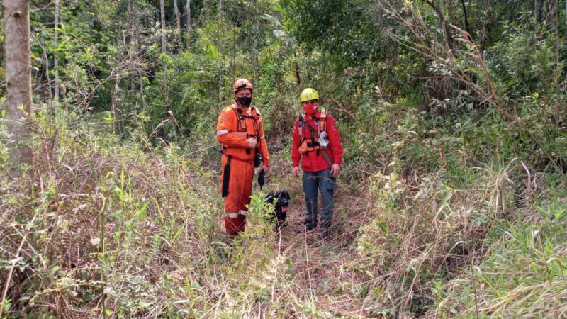 C&atilde;es s&atilde;o usados na opera&ccedil;&atilde;o de buscas pela mulher desaparecida – Foto: Reprodu&ccedil;&atilde;o/Facebook/ND