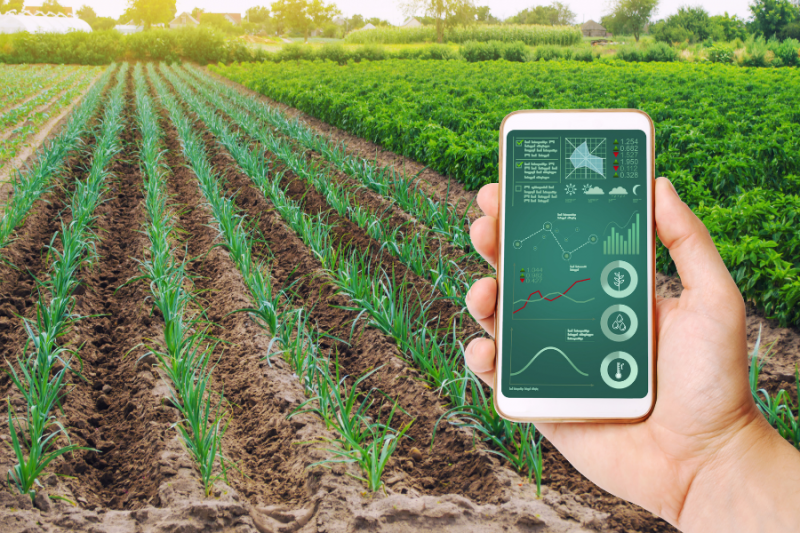 Como comunicar o digital para o agroneg&oacute;cio – Foto: www.canva.com