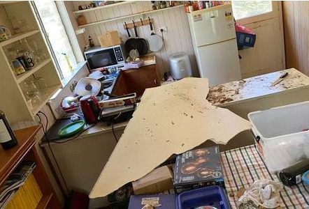 Cobras despencam de teto da cozinha ap&oacute;s brigarem por f&ecirc;mea – Foto: Daily Mirror