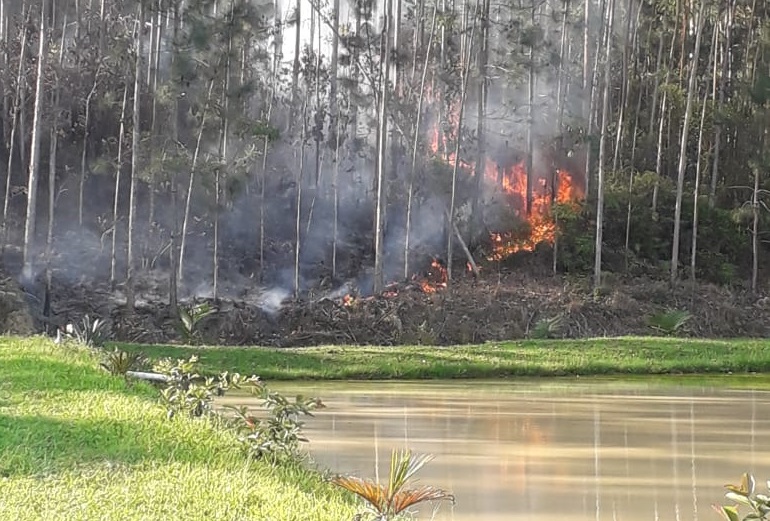 Homem &eacute; encontrado morto durante combate a inc&ecirc;ndio – Foto: Corpo de Bombeiros Volunt&aacute;rios de Indaial