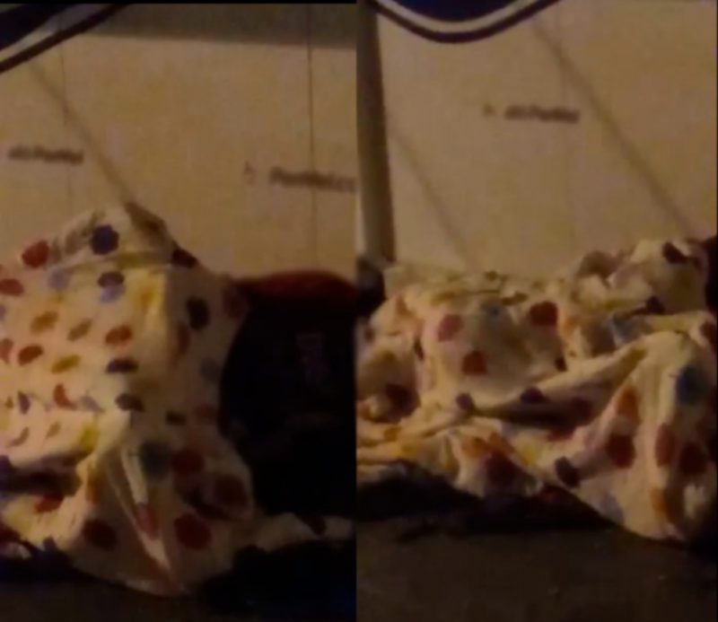 Sexo no meio da rua revolta moradores na Lagoa da Concei&ccedil;&atilde;o – Foto: Reprodu&ccedil;&atilde;o