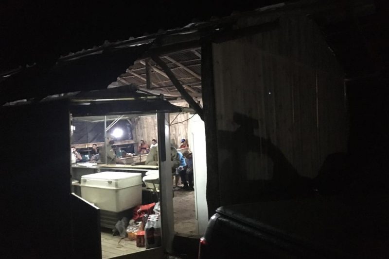 Pol&iacute;cia Militar flagra rinha de galos em Pomerode – Foto: Divulga&ccedil;&atilde;o / Pol&iacute;cia Militar de Pomerode