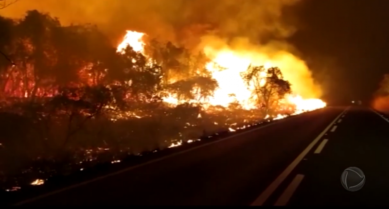 Os incêndios começaram em junho – Foto: Record TV/Reprodução