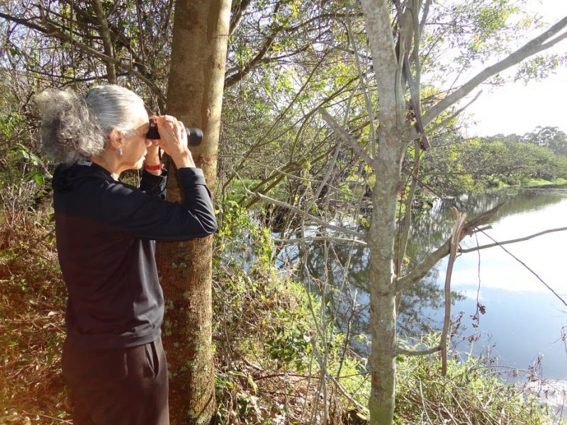 Ros&aacute;rio durante o trabalho de identifica&ccedil;&atilde;o de p&aacute;ssaros – Foto: Lenir Alda do Ros&aacute;rio/Arquivo Pessoal/ND
