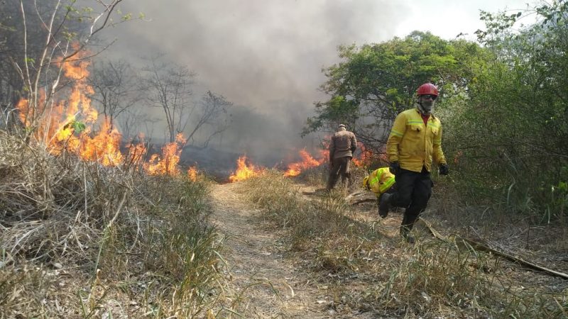 Expectativa &eacute; que a COP 27 apresente resultados e solu&ccedil;&otilde;es clim&aacute;ticas que correspondam &agrave; escala do problema sobre a interfer&ecirc;ncia humana no meio ambiente – Foto: Foto: Divulga&ccedil;&atilde;o/CBMSC/ND