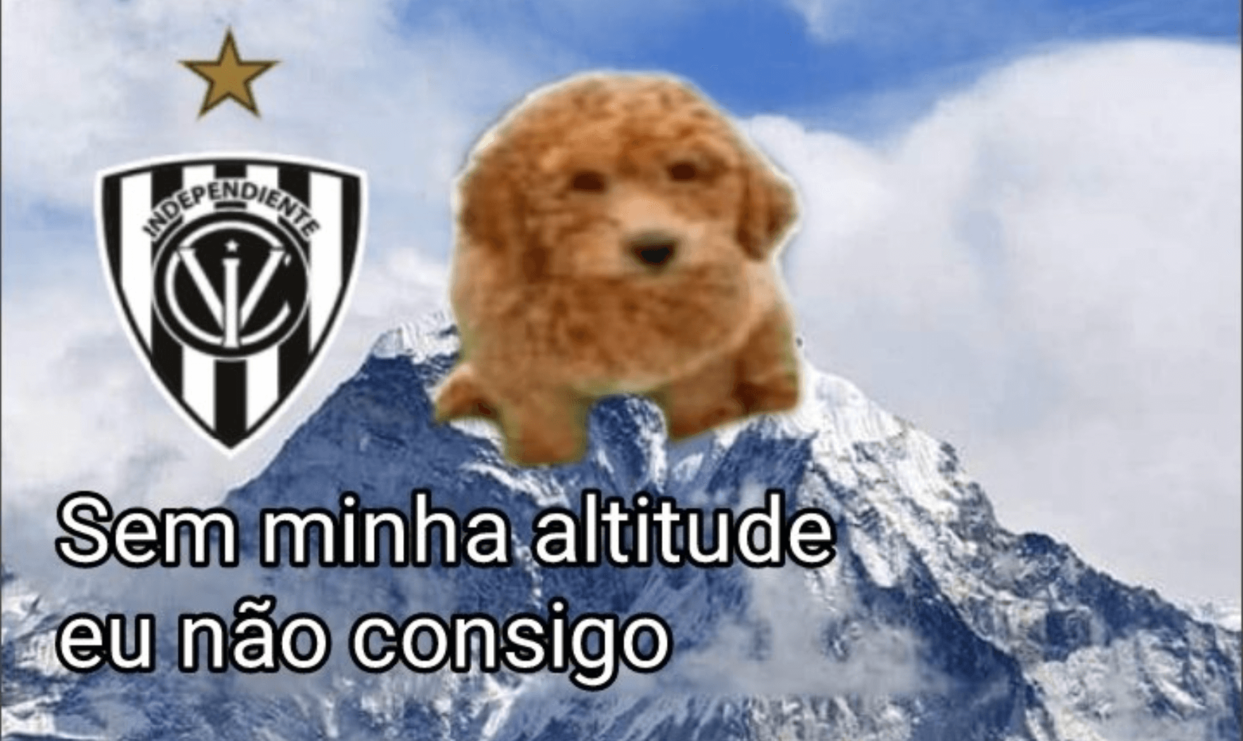 Os Memes Do Troco Ao Independiente Del Valle Sao Assunto Do Dia No Flamengo Nd Mais Os Memes Do Troco Ao Independiente Del Valle Sao Assunto Do Dia No Flamengo Nd Mais