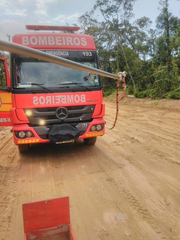 Cobra foi capturada pr&oacute;ximo a Prefeitura de Itapo&aacute; – Foto: Corpo de Bombeiros Militar/Divulga&ccedil;&atilde;o