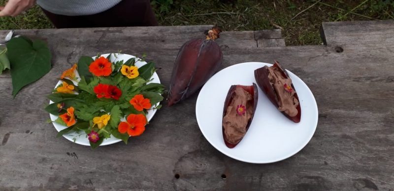 Pratos preparados &agrave; base de flores e folhas: muito sabor e sa&uacute;de – Foto: Dani Lando/NDTV Joinville – Foto: Dani Lando/NDTV