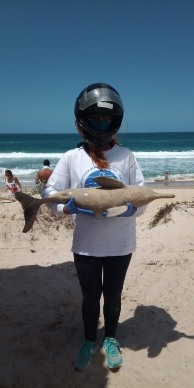 Animais foram levados para o Centro de Pesquisa, Reabilita&ccedil;&atilde;o e Despetroliza&ccedil;&atilde;o de Animais Marinhos e passar&atilde;o por necropsia para avaliar a causa da morte. – Foto: Divulga&ccedil;&atilde;o/R3 Animal